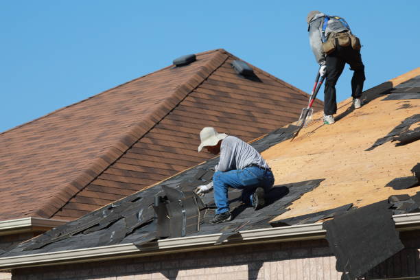 Best Storm Damage Roof Repair  in Gloverville, SC