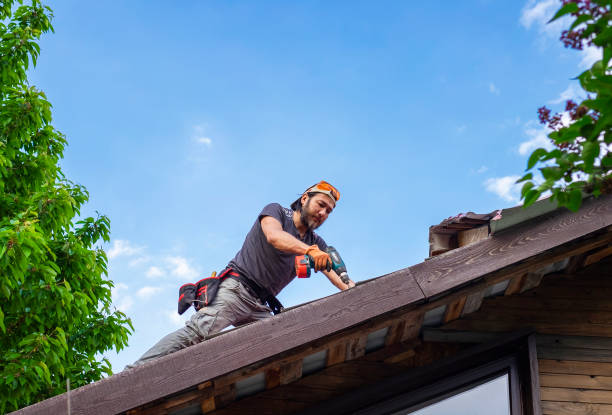 Best Roof Insulation Installation  in Gloverville, SC